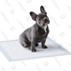 Image for article titled Grab Your Four-Legged Pals Some of the Best Pet Goodies from Amazon
